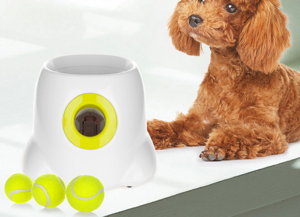 Intelligent Training Interactive For Dog Automatic Pitching