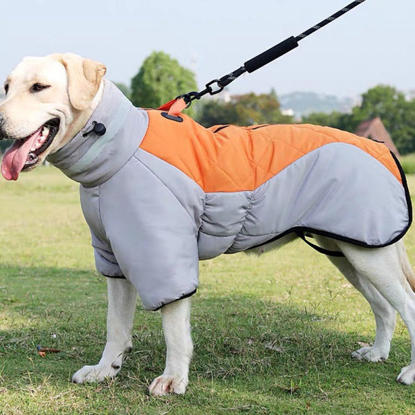 New Waterproof Dog Winter Coat